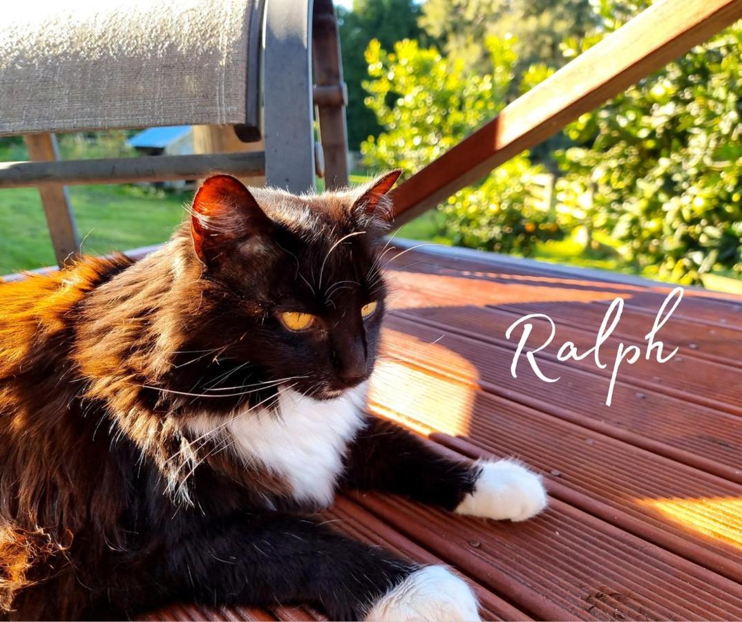 Swiss-Kiwi Cottage And Retreat, B&B ตาอูรังกา ภายนอก รูปภาพ