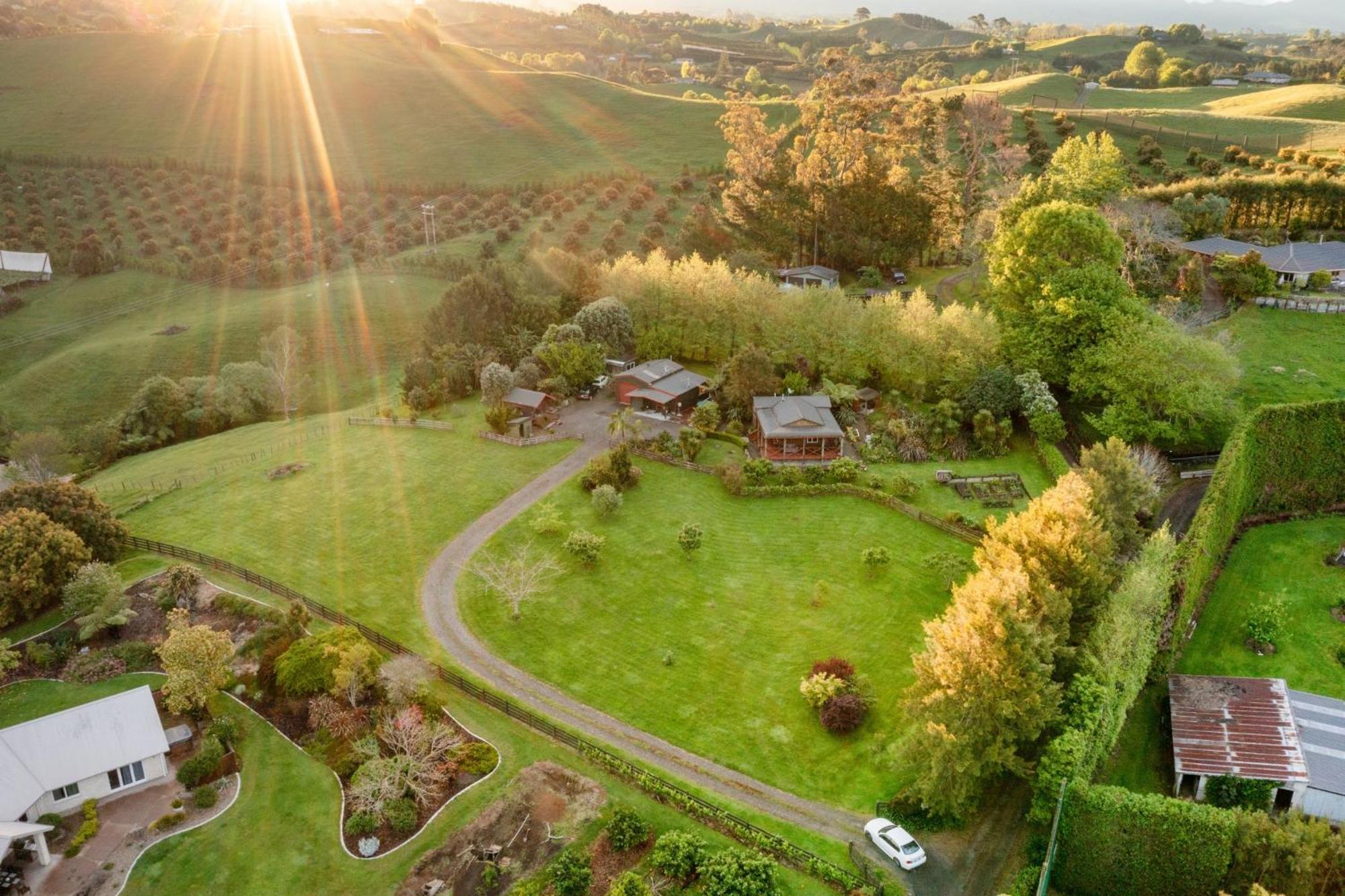 Swiss-Kiwi Cottage And Retreat, B&B ตาอูรังกา ภายนอก รูปภาพ
